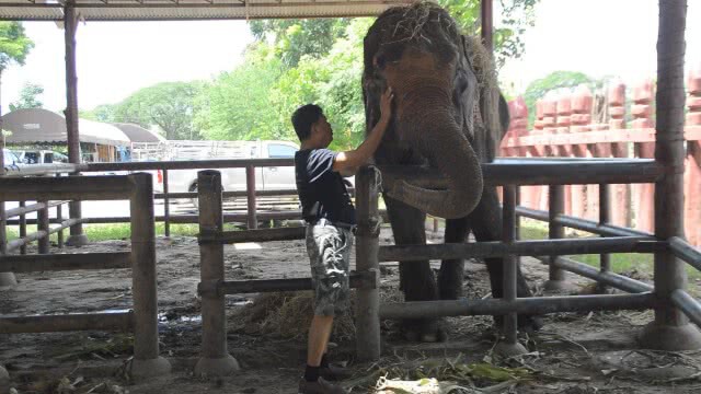 ลายทองเหรียญ  ชี้ คนป่าไม้ แค้นฝังหุ่น! โกรธส่วนตัว จ้องแจ้งความ