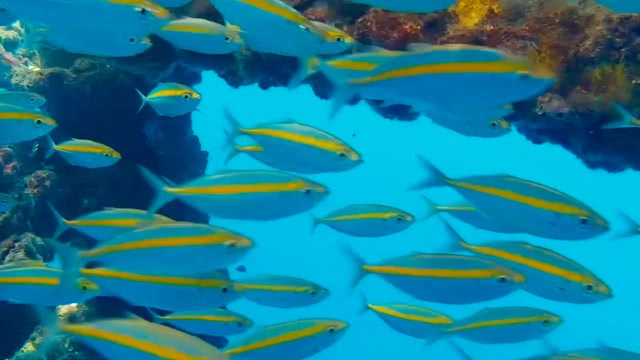 ความภูมิใจของคนไทยที่หลายคนไม่รู้!!