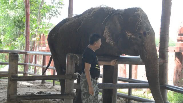 ลายทองเหรียญ  ชี้ คนป่าไม้ แค้นฝังหุ่น! โกรธส่วนตัว จ้องแจ้งความ