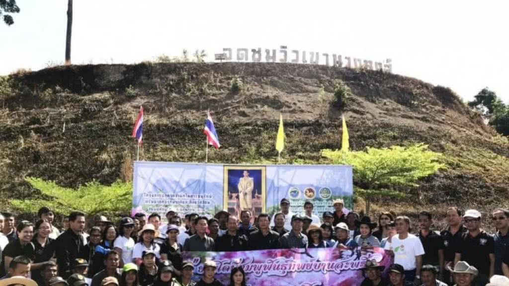 เล็งเนรมิตภูเขาสีชมพูแห่งแรกในภาคใต้ ที่จุดชมวิว เขานางหงส์