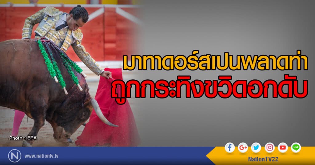 มาทาดอร์สเปนพลาดท่า
ถูกกระทิงขวิดอกดับ มาทาดอร์สเปนพลาดท่า
ถูกกระทิงขวิดอกดับ