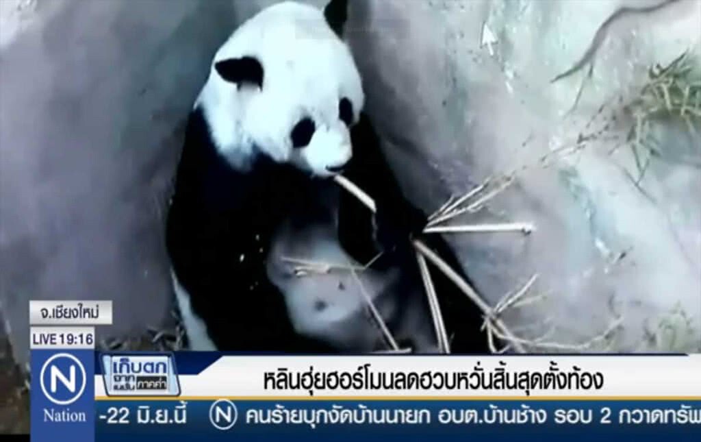 หลินฮุ่ยฮอร์โมนลดฮวบ หวั่นสิ้นสุดตั้งท้อง