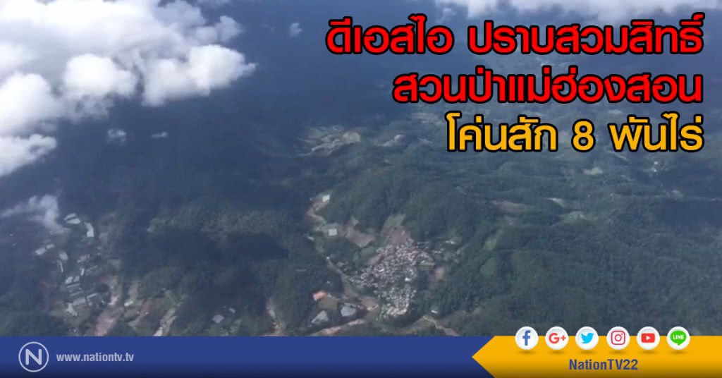 ดีเอสไอ ปราบสวมสิทธิ์
สวนป่าแม่ฮ่องสอน โค่นสัก 8 พันไร่