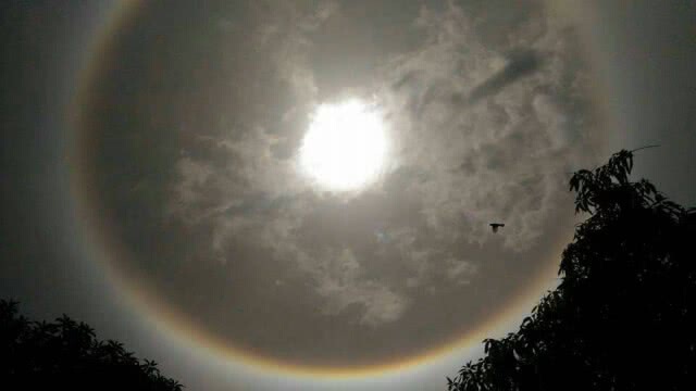 ข้าราชการแตกตื่นพระอาทิตย์ทรงกลด แห่ถ่ายภาพขึ้นโซเชียล..!!