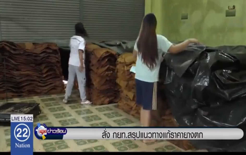 สั่ง กยท.สรุปแนวทางแก้ราคายางตก สั่ง กยท.สรุปแนวทางแก้ราคายางตก
