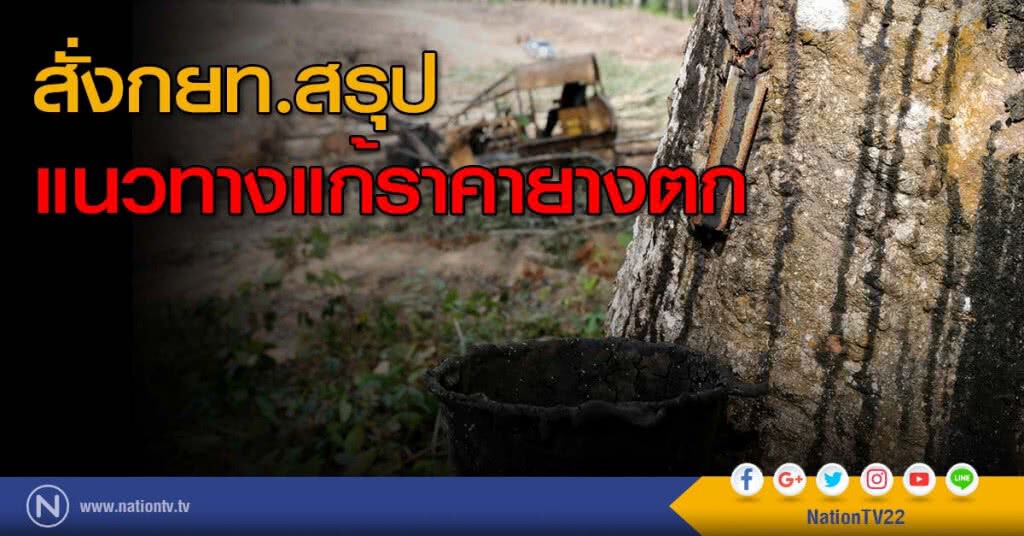 สั่งกยท.สรุปแนวทางแก้ราคายางตก สั่งกยท.สรุปแนวทางแก้ราคายางตก