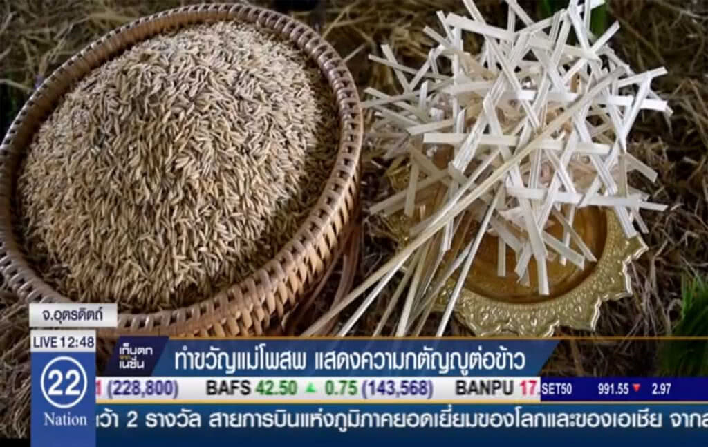 ทำขวัญแม่โพสพ แสดงความกตัญญูต่อข้าว ทำขวัญแม่โพสพ แสดงความกตัญญูต่อข้าว