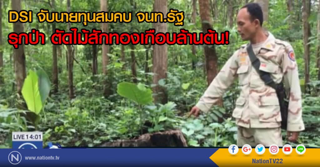DSI จับนายทุนสมคบ จนท.รัฐบุกรุกป่า ตัดไม้สักทองเกือบล้านต้น DSI จับนายทุนสมคบ จนท.รัฐบุกรุกป่า ตัดไม้สักทองเกือบล้านต้น