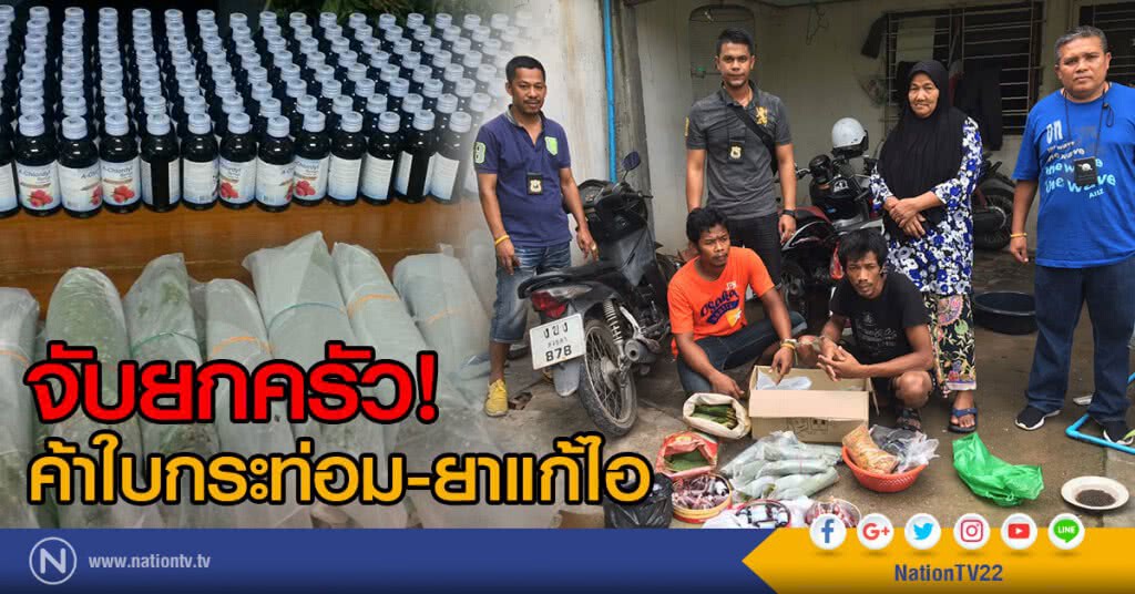 จับยกครัว!
ค้าใบกระท่อม-ยาแก้ไอ จับยกครัว!
ค้าใบกระท่อม-ยาแก้ไอ