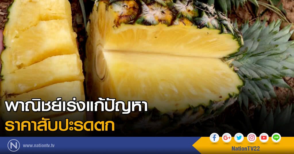 พาณิชย์เร่งแก้ปัญหาราคาสับปะรดตก พาณิชย์เร่งแก้ปัญหาราคาสับปะรดตก