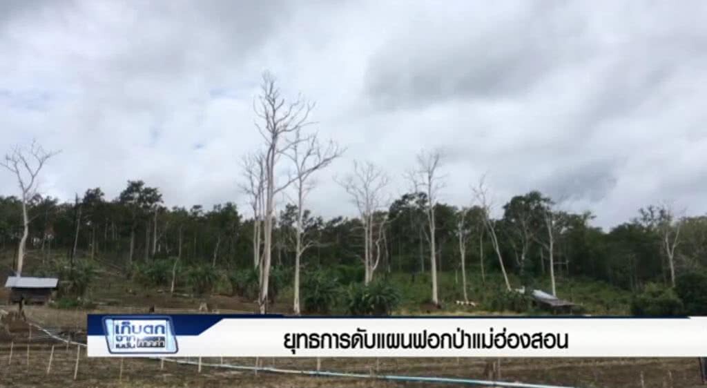 เก็บตกจากเนชั่นภาคค่ำ : ยุทธการดับแผนฟอกป่าแม่ฮ่องสอน | ช่วงที่ 3/3 | 21-06-60 เก็บตกจากเนชั่นภาคค่ำ : ยุทธการดับแผนฟอกป่าแม่ฮ่องสอน | ช่วงที่ 3/3 | 21-06-60