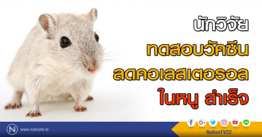 นักวิจัย ทดสอบวัคซีนลดคอเลสเตอรอลในหนูสำเร็จ