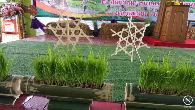 สืบสานประเพณีโบราณ...ทำขวัญแม่โพสพ แสดงความกตัญญูต่อข้าว