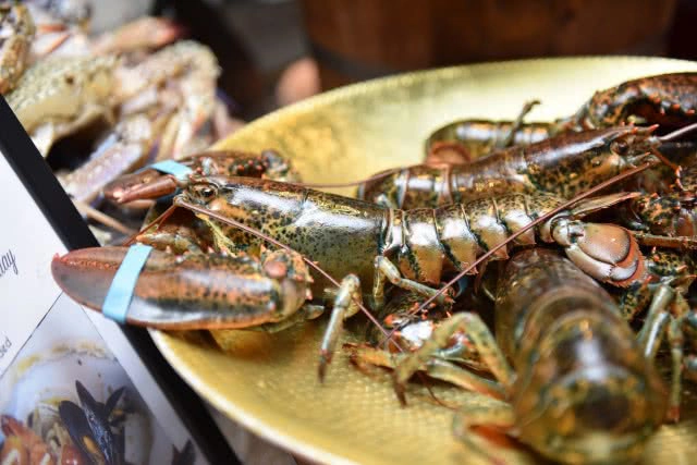 อร่อยปักหมุด : Seafood in the city ที่ห้องอาหารสกาลินี