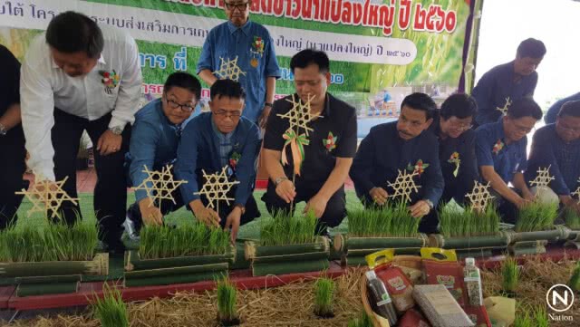 สืบสานประเพณีโบราณ...ทำขวัญแม่โพสพ แสดงความกตัญญูต่อข้าว