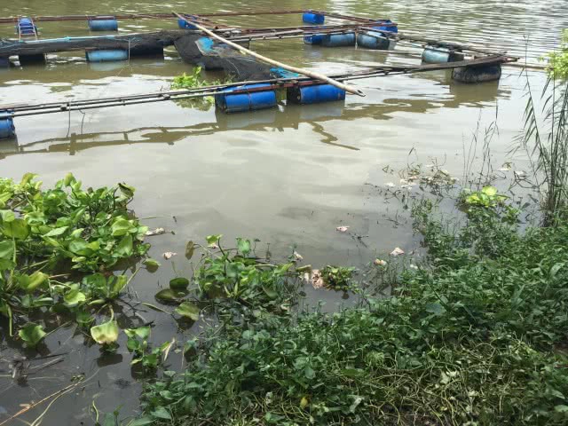 คพ.เตือนผู้เลี้ยงปลากระชัง ในแม่น้ำป่าสัก