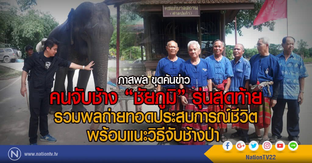 ภาสพล ขุดค้นข่าว 
คนจับช้าง"ชัยภูมิ"รุ่นสุดท้าย รวมพลถ่ายทอดประสบการณ์ชีวิต พร้อมแนะวิธีจับช้างป่า