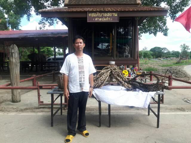 ภาสพล ขุดค้นข่าว 
คนจับช้าง"ชัยภูมิ"รุ่นสุดท้าย รวมพลถ่ายทอดประสบการณ์ชีวิต พร้อมแนะวิธีจับช้างป่า