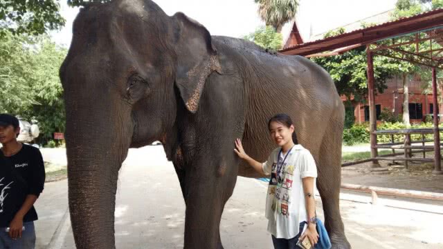 ภาสพล ขุดค้นข่าว 
คนจับช้าง"ชัยภูมิ"รุ่นสุดท้าย รวมพลถ่ายทอดประสบการณ์ชีวิต พร้อมแนะวิธีจับช้างป่า
