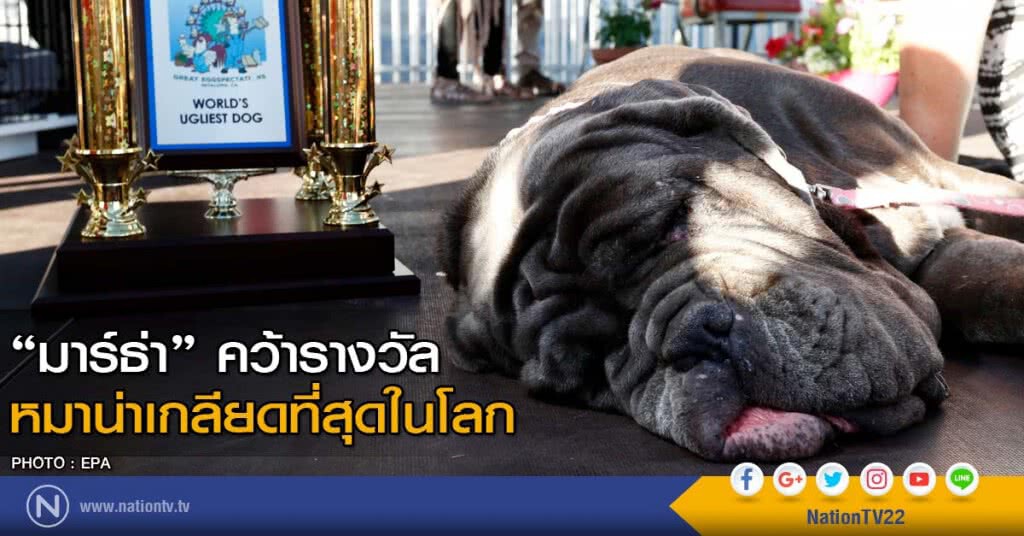 หมาน่าเกลียดที่สุดในโลก หมาน่าเกลียดที่สุดในโลก