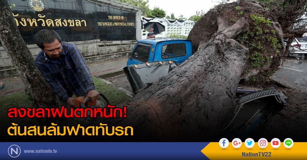 สงขลาฝนตกหนัก! ต้นสนล้มฟาดทับรถ สงขลาฝนตกหนัก! ต้นสนล้มฟาดทับรถ