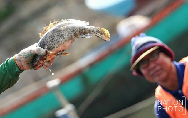 วิถีประมงพื้นบ้านอ่าวเพ จ.ระยอง