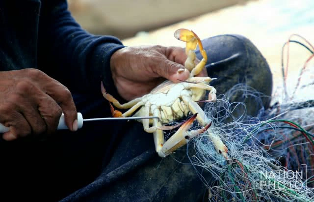 วิถีประมงพื้นบ้านอ่าวเพ จ.ระยอง