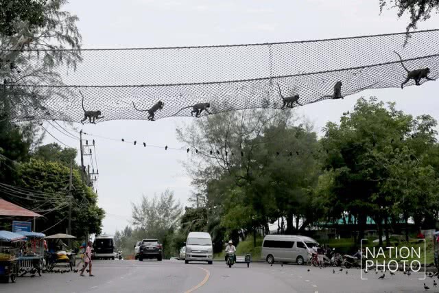 ชื่นชมธรรมชาติบริเวณเขาน้อย - เขาตังกวน