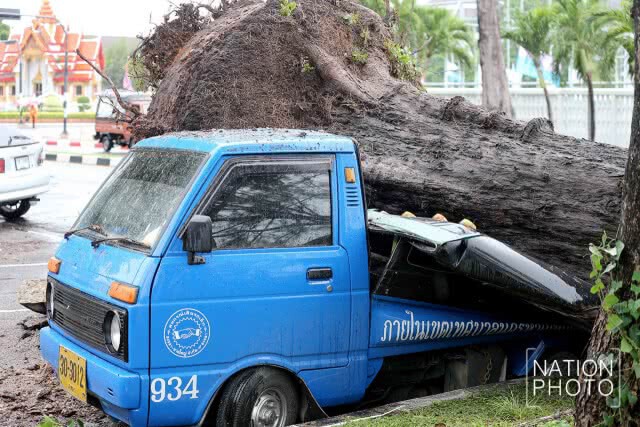 สงขลาฝนตกหนัก! ต้นสนล้มฟาดทับรถ