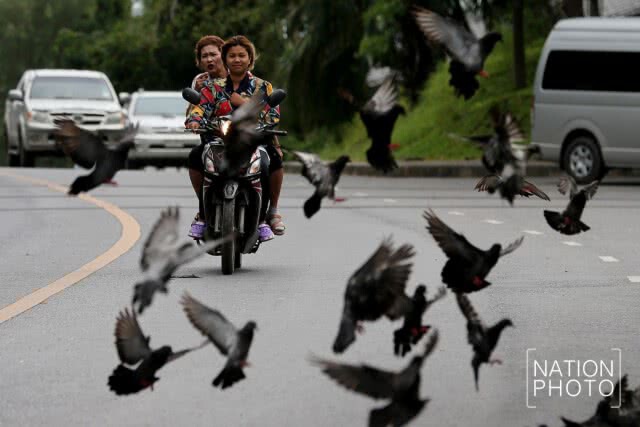 ชื่นชมธรรมชาติบริเวณเขาน้อย - เขาตังกวน