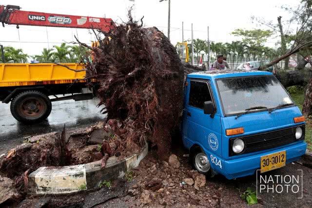 สงขลาฝนตกหนัก! ต้นสนล้มฟาดทับรถ