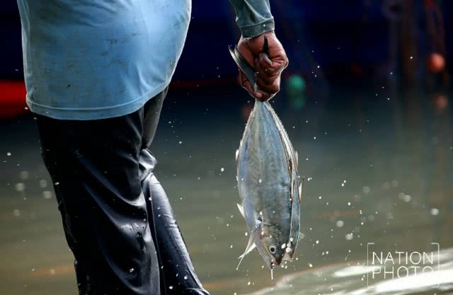 วิถีประมงพื้นบ้านอ่าวเพ จ.ระยอง