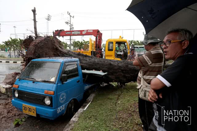 สงขลาฝนตกหนัก! ต้นสนล้มฟาดทับรถ
