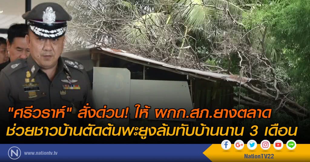 "ศรีวราห์" สั่งด่วน! ให้ ผกก.สภ.ยางตลาด ช่วยชาวบ้านตัดต้นพะยูงล้มทับบ้านนาน 3 เดือน "ศรีวราห์" สั่งด่วน! ให้ ผกก.สภ.ยางตลาด ช่วยชาวบ้านตัดต้นพะยูงล้มทับบ้านนาน 3 เดือน