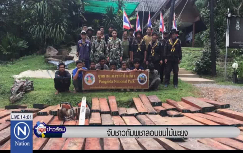 จับชาวกัมพูชา ลอบขนไม้พะยูง จับชาวกัมพูชา ลอบขนไม้พะยูง