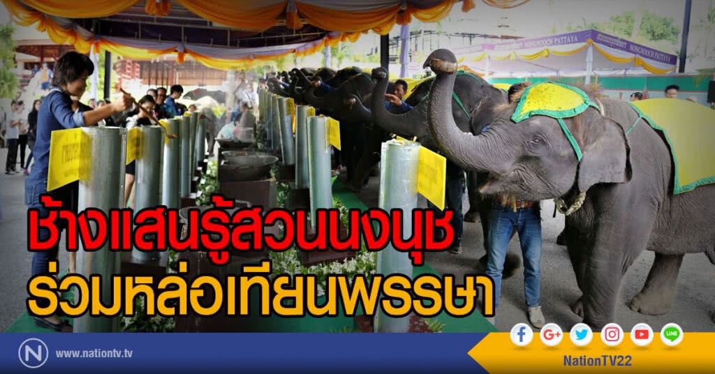 ช้างแสนรู้สวนนงนุช
ร่วมหล่อเทียนพรรษา ช้างแสนรู้สวนนงนุช
ร่วมหล่อเทียนพรรษา
