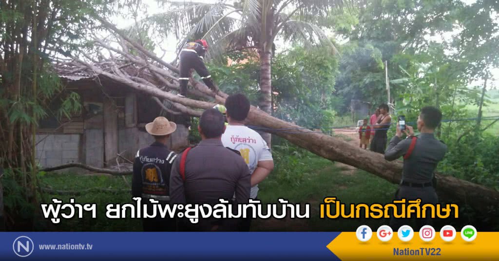 ผู้ว่าฯ ยกไม้พะยูงล้มทับบ้านเป็นกรณีศึกษา