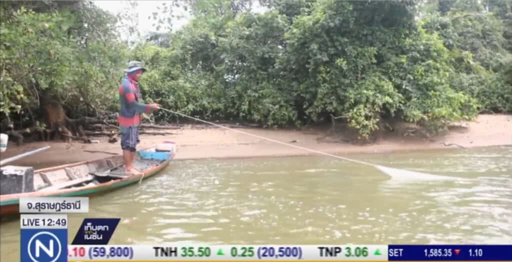 ล่องเรือคลองท่าฉาง สัมผัสวิถีประมงพื้นบ้าน ล่องเรือคลองท่าฉาง สัมผัสวิถีประมงพื้นบ้าน