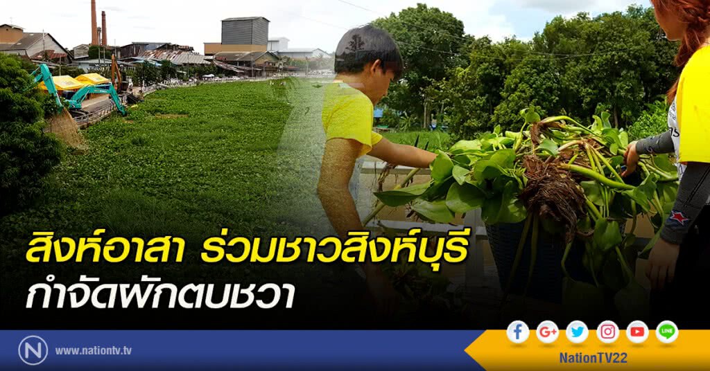 สิงห์อาสาร่วมชาวสิงห์บุรีกำจัดผักตบชวา