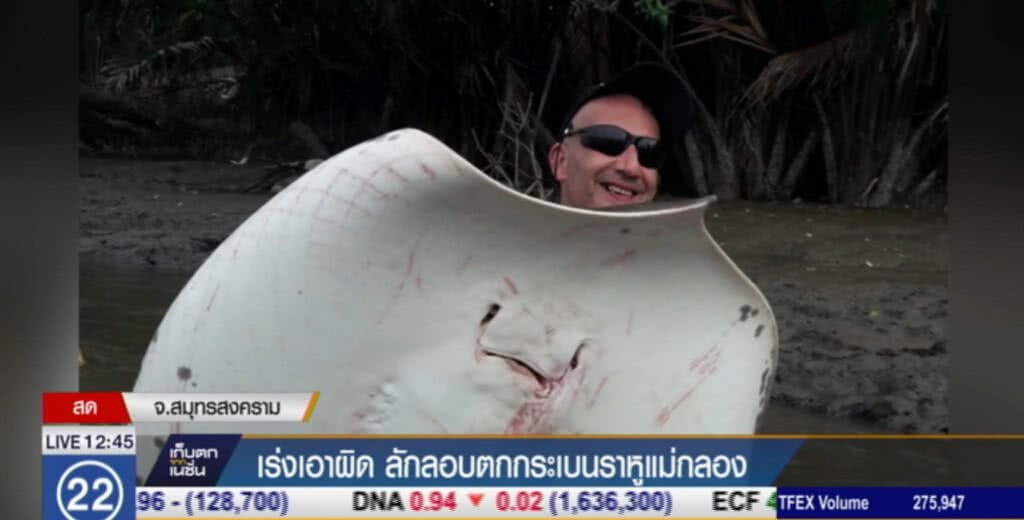 เร่งเอาผิดธุรกิจท่องเที่ยวล่า "กระเบนราหู" ในแม่น้ำแม่กลอง