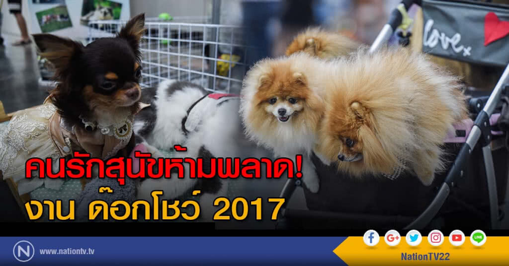 คนรักสุนัขห้ามพลาด! งาน ด๊อกโชว์ 2017 คนรักสุนัขห้ามพลาด! งาน ด๊อกโชว์ 2017
