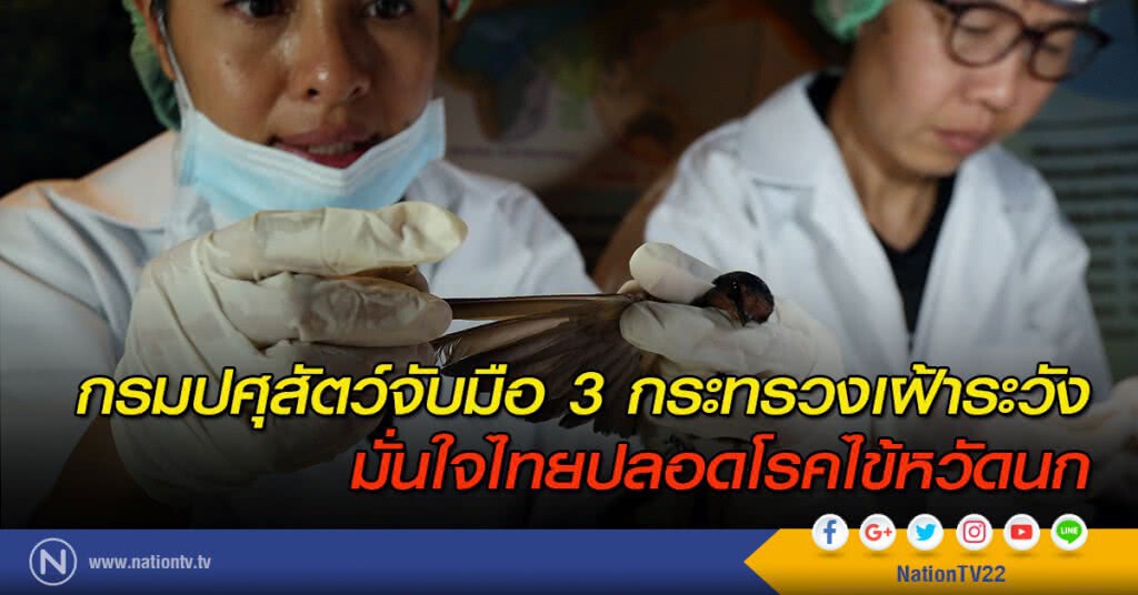 กรมปศุสัตว์จับมือ 3 กระทรวงเฝ้าระวัง
มั่นใจไทยปลอดโรคไข้หวัดนก