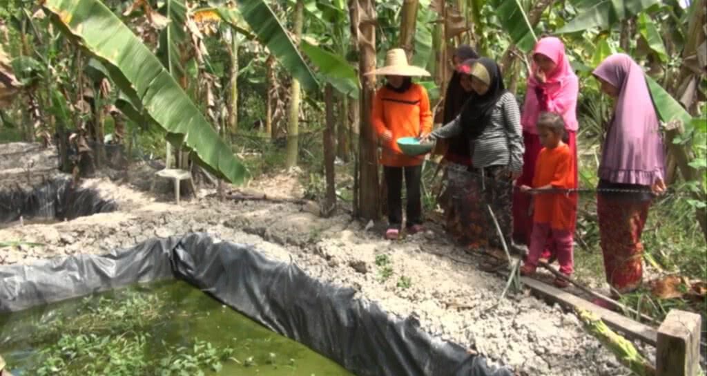สสส.ปลูกผักสามัคคีกับชุมชนบ้านแขนท้าว สสส.ปลูกผักสามัคคีกับชุมชนบ้านแขนท้าว