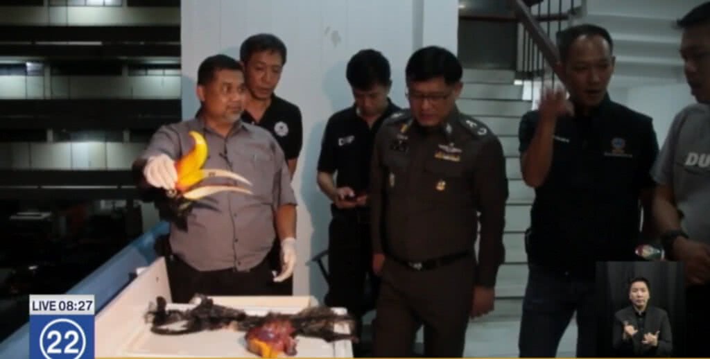 รวบแก๊ง "นม เย็น" ลักลอบค้าสัตว์ป่า รวบแก๊ง "นม เย็น" ลักลอบค้าสัตว์ป่า