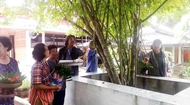 "ต้นเทียนพระพุทธเจ้า" หนึ่งเดียวในน่าน