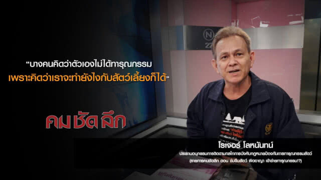 คม-ชัด-ลึก ข่มขืนสัตว์: ผิดอาญา เข้าข่ายทารุณกรรม!?