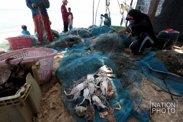 จับปูในบ้านปลา
วิถีประมงพื้นบ้าน ชายแดนใต้