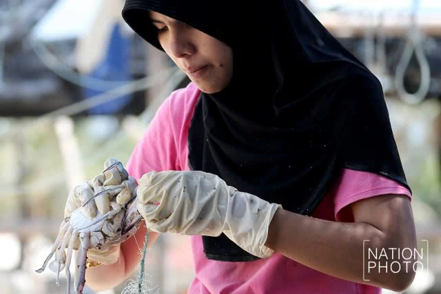 จับปูในบ้านปลา
วิถีประมงพื้นบ้าน ชายแดนใต้