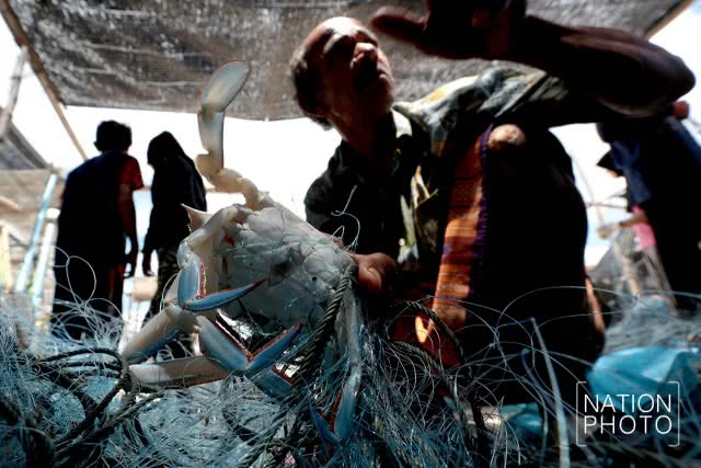 จับปูในบ้านปลา
วิถีประมงพื้นบ้าน ชายแดนใต้