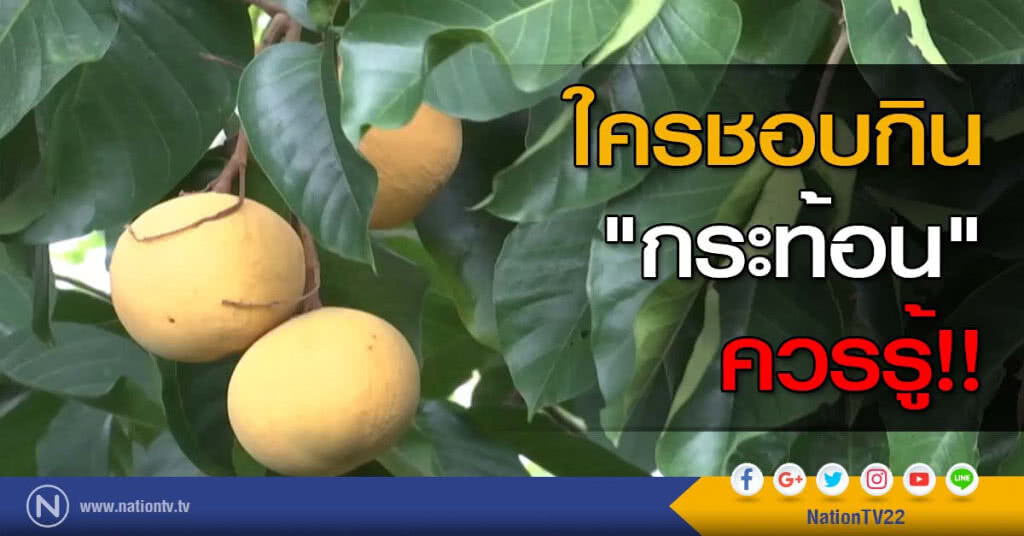 ใครชอบกิน "กระท้อน" ควรรู้!! ใครชอบกิน "กระท้อน" ควรรู้!!